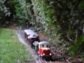 DSC5_02208