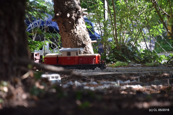 DSC5_04296