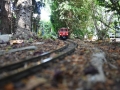 DSC5_10880
