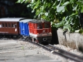 DSC5_10896