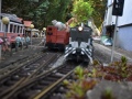 DSC5_12858