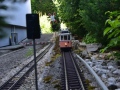 DSC5_18653