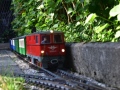 DSC5_18664