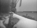 2_19_2013-09_27_03GMT