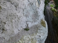 DSC5_01985