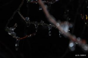 Eisregen 2012-12-23