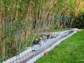 DSC5_01851