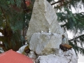 DSC5_10204