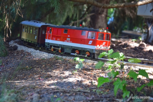 DSC5_01908