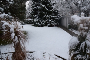 Erster Schnee 2015-11-26