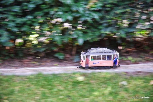 DSC_18869