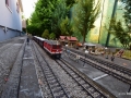 DSC5_02096
