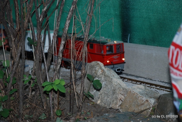 DSC_0173