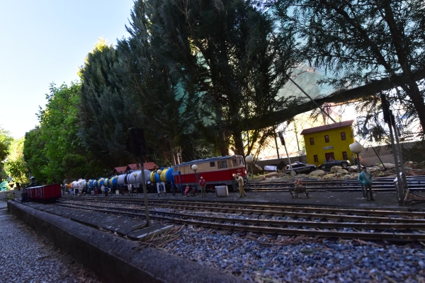 DSC5_10059