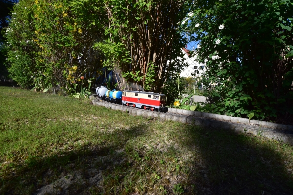 DSC5_10068