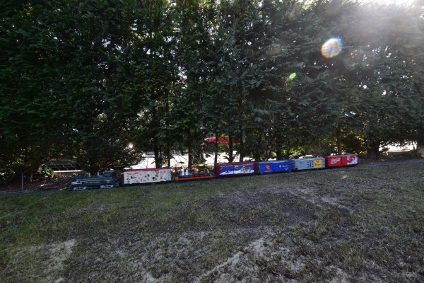 DSC5_10069