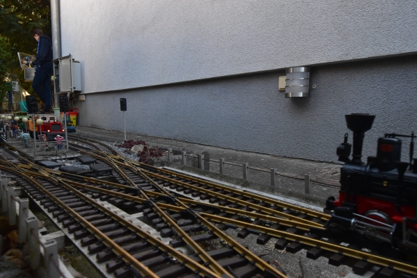 DSC5_10081