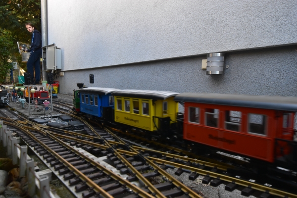 DSC5_10082