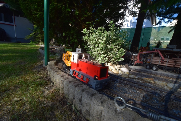 DSC5_10085