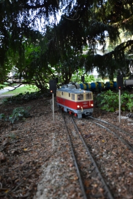 DSC5_10088