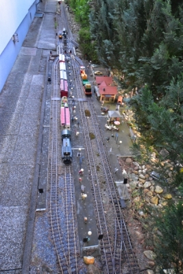 DSC5_10092