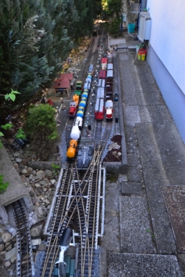 DSC5_10094