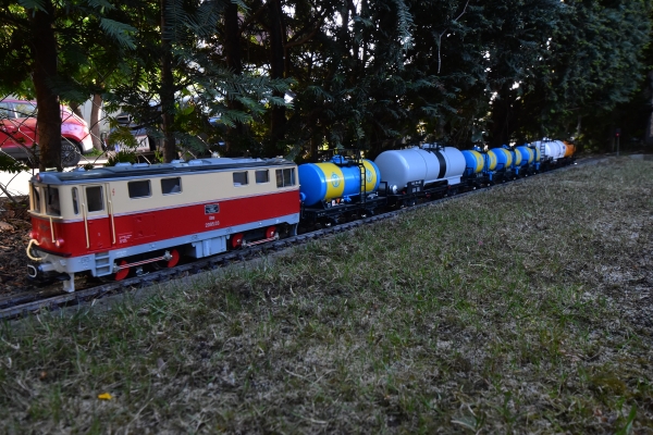 DSC5_10099