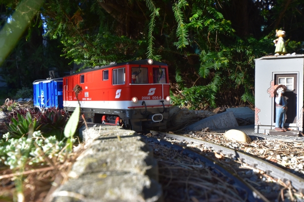 DSC5_10105