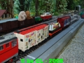 Gartenbahn_166