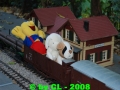 Gartenbahn_168