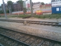 06052009005