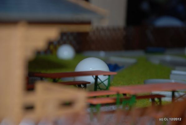 DSC_11938