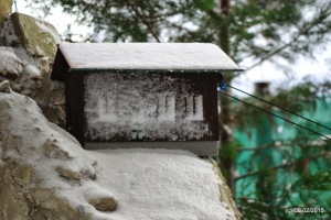 Schnee 2015-02-08