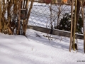 DSC5_01488