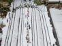 Schnee 2016-01-03
