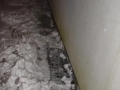 DSC5_01506