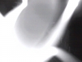 00606E91E965(LGB-CAM)_1_20140819025921_3482