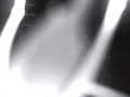 00606E91E965(LGB-CAM)_1_20140819025952_3488
