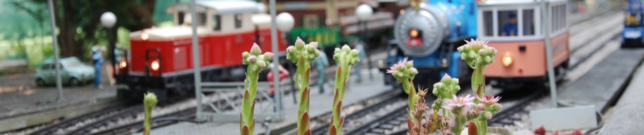 Christian´s Gartenbahn