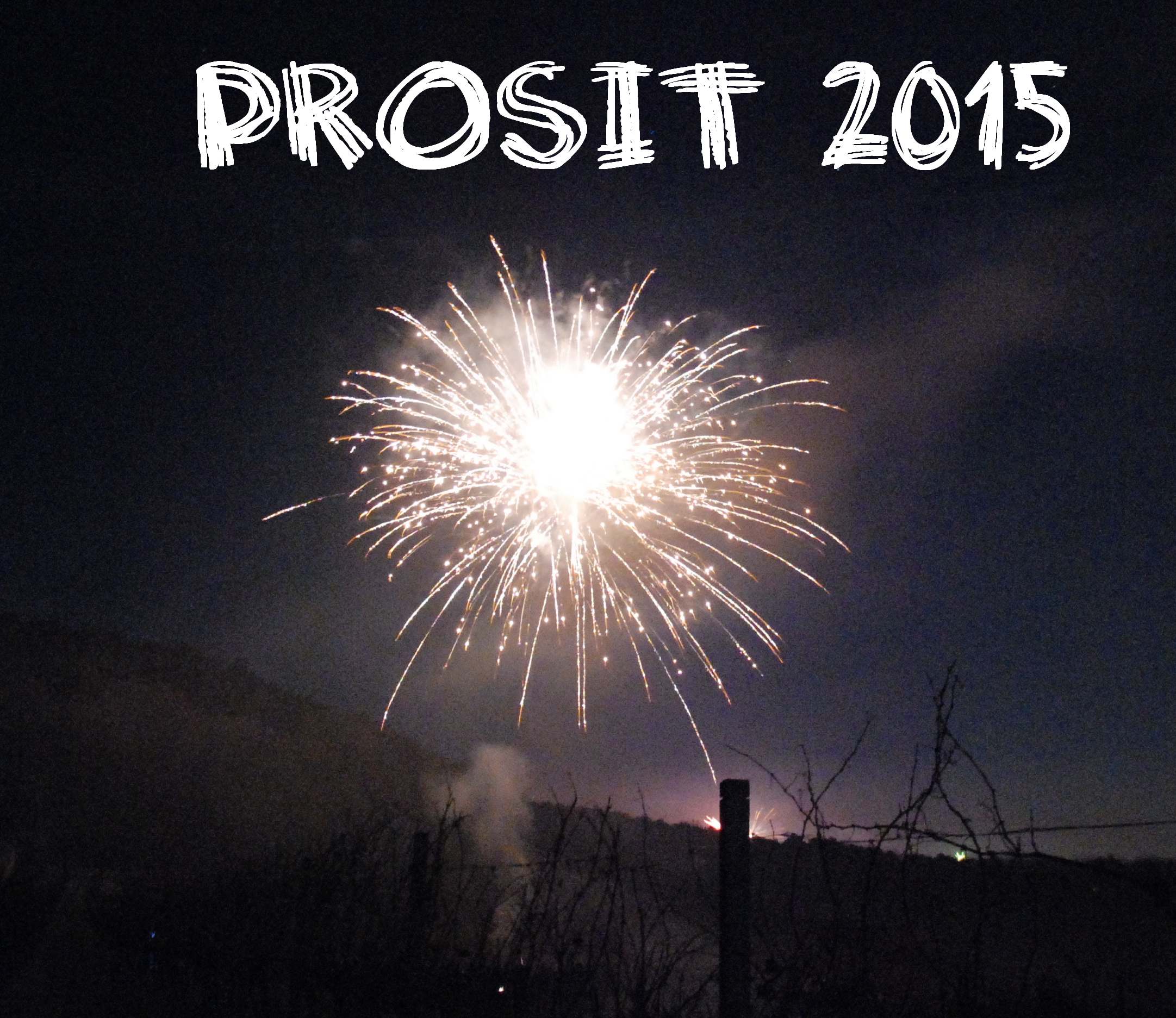 DSC_12014_prosit2015